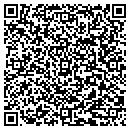 QR code with Cobra Systems Inc contacts