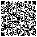 QR code with Borg Consulting LLC contacts