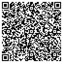QR code with Pyramid Alternatives contacts