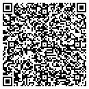 QR code with Carity Consulting contacts