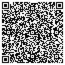 QR code with Blue Eclectic L L C contacts