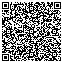 QR code with Cyber Cents Consulting contacts