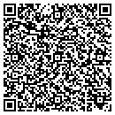 QR code with Castle Point Csg Inc contacts