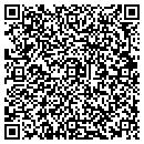 QR code with Cyberniche Software contacts