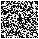QR code with Cylinics Inc contacts