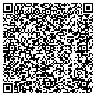 QR code with Ecustomwebsites Com Inc contacts