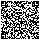 QR code with Premier Pools & Spas contacts