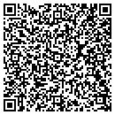 QR code with Prince Pools contacts