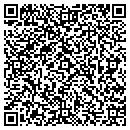 QR code with Pristine Pool Tile LLC contacts