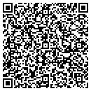 QR code with Pvf Construction LLC contacts