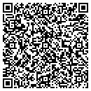 QR code with Pro-Link Corp contacts