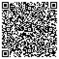 QR code with Qintel contacts