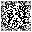 QR code with Borg Technologies contacts