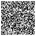 QR code with Video 'n Vinyl contacts