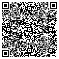 QR code with Octagon contacts