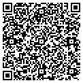 QR code with Mavicor contacts