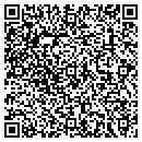 QR code with Pure Solutions I LLC contacts