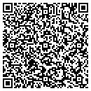 QR code with Clinton Tree Service contacts