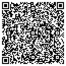 QR code with Carrera Systems LLC contacts