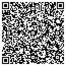 QR code with Celan Consulting Inc contacts