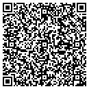 QR code with Cobalt Support Systems Inc contacts