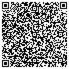 QR code with C A Pugh Consulting Inc contacts