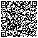 QR code with Platinum Pools contacts