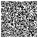QR code with Premier Pools & Spas contacts