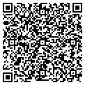 QR code with Localnet contacts