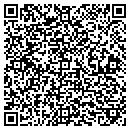 QR code with Crystal Vision Pools contacts