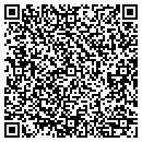 QR code with Precision Pools contacts