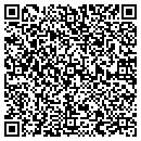 QR code with Professional Pools Plus contacts