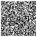 QR code with Practi/Logic contacts