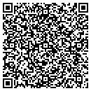 QR code with Professional Consulting Services contacts