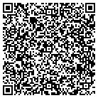 QR code with Pulse Media Solutions contacts