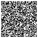 QR code with Professional Video contacts
