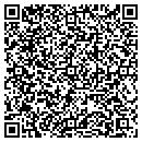 QR code with Blue Dolphin Pools contacts