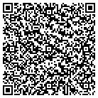 QR code with Blue Haven Pools & Spas contacts