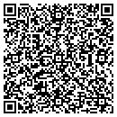 QR code with Custom Dry Cleaners contacts