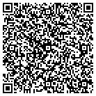 QR code with Blue Flash Systems LLC contacts