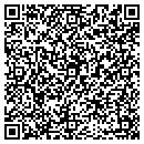 QR code with Cognilytics Inc contacts