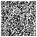 QR code with Problem Solvers contacts