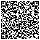 QR code with Premium Cleaners Inc contacts
