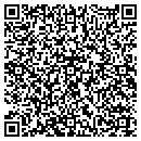 QR code with Prince Pools contacts