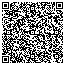 QR code with Pyramid Pools Inc contacts
