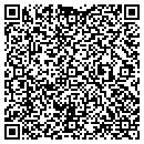 QR code with Publicsafetywebhostcom contacts