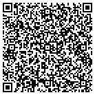 QR code with Brian K Tignor Handyman contacts