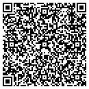 QR code with Brian Seli Handyman contacts