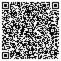 QR code with Modis contacts
