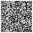 QR code with Crystal Clear Pools contacts